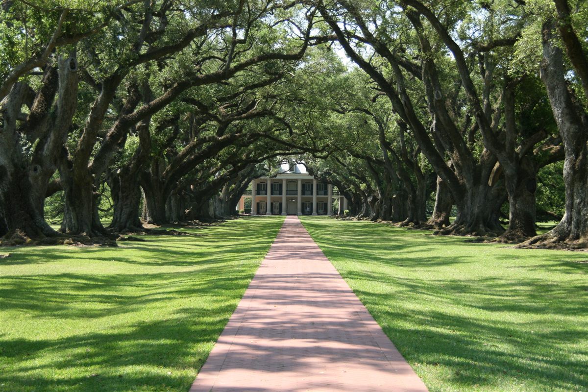Metairie lawn care