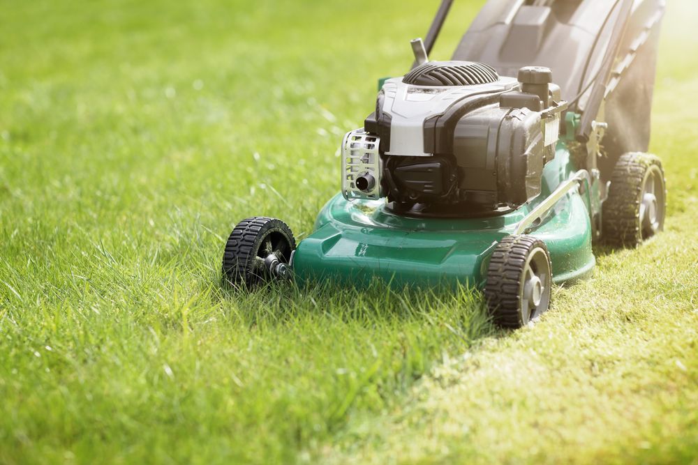 Green push mower cutting a stripe through a lawn