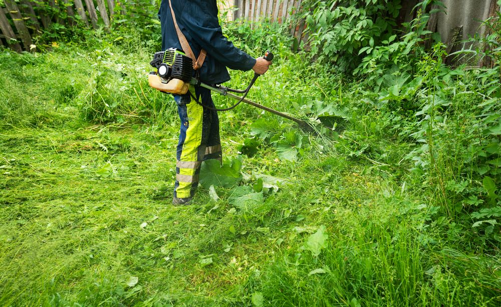 Worker with a brush cutter clearing overgrown weeds beside a fence