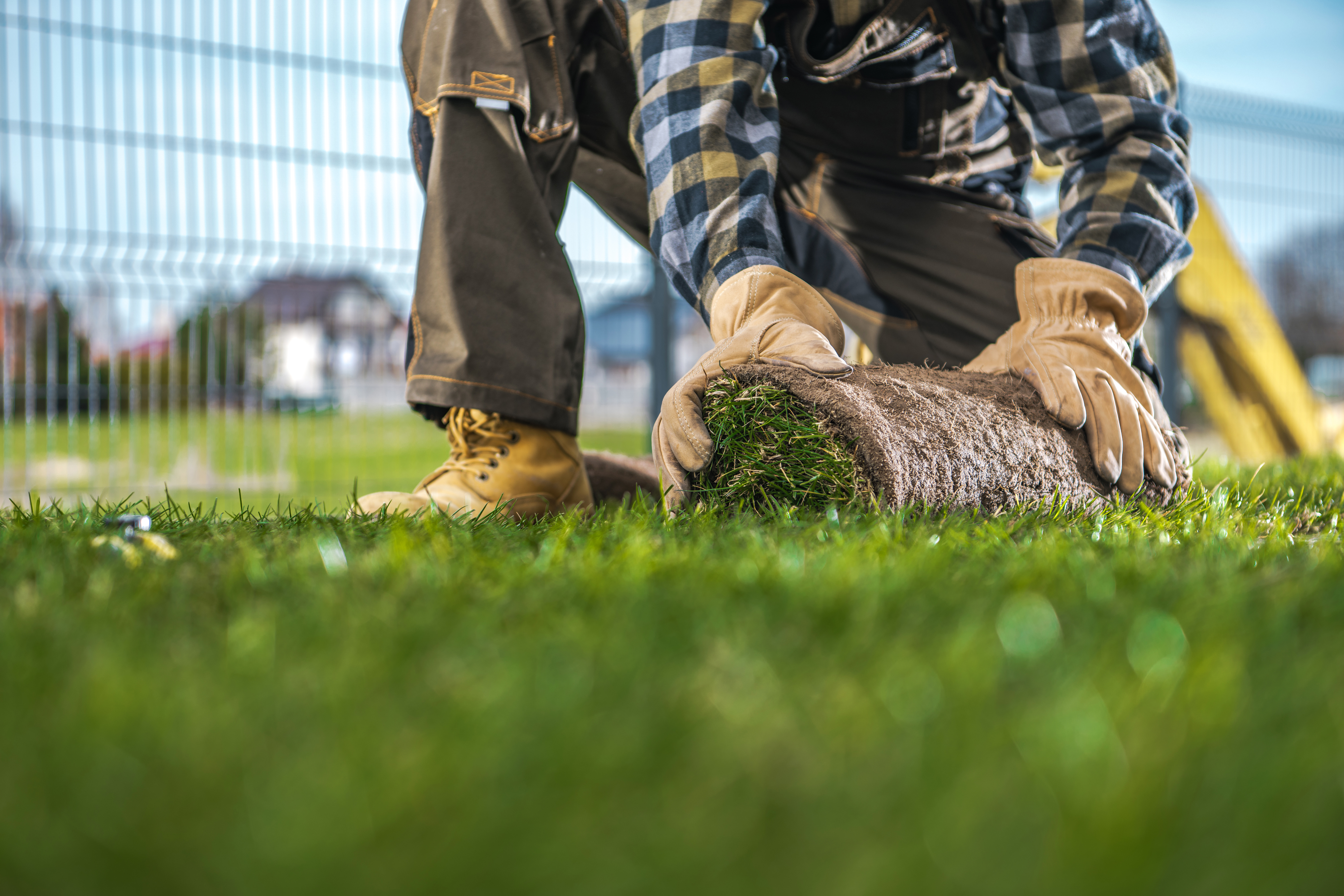 TurnKey Lawn Care team rolling natural grass turf in a New Orleans backyard